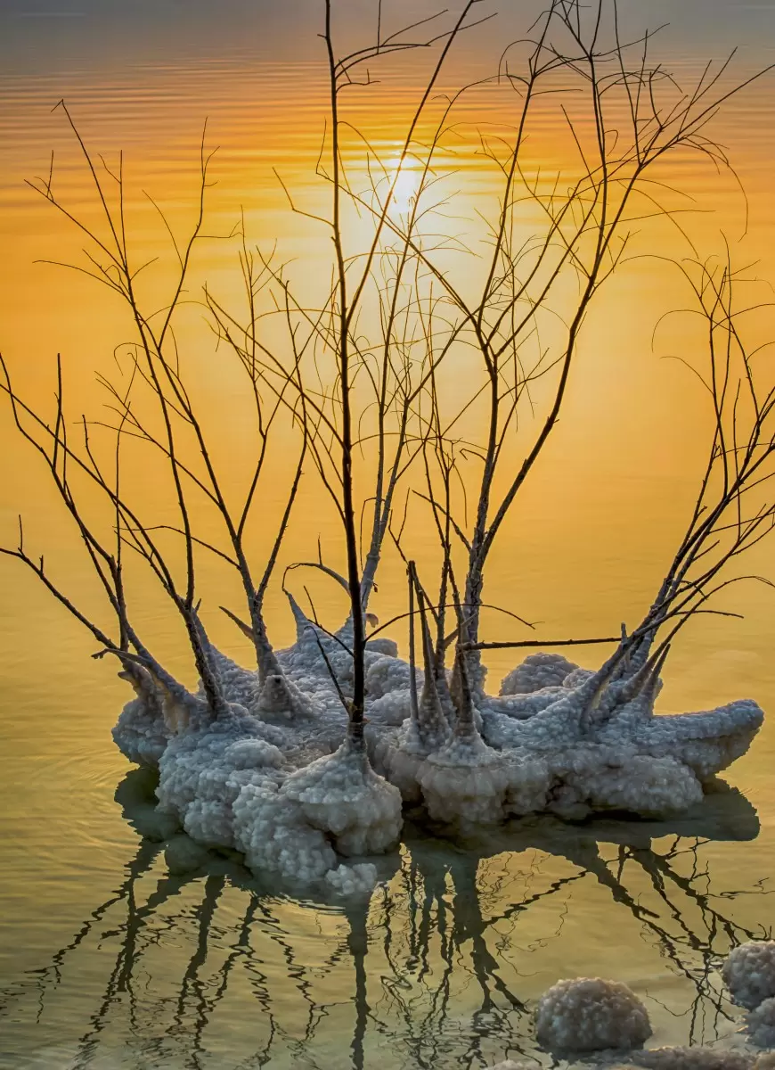 שקיעה על ים המלח - טניה קלימנקו - נופים יפים  - מק''ט: 434784