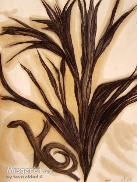 רישום צומח ולטאה