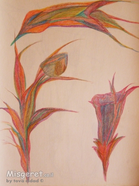 צפור מעל פרחים