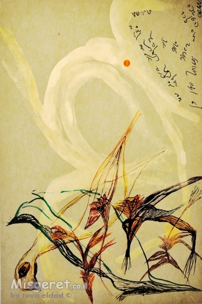 רישום ציפורים