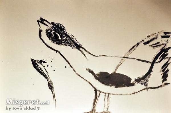 רישום  דיו ציפור