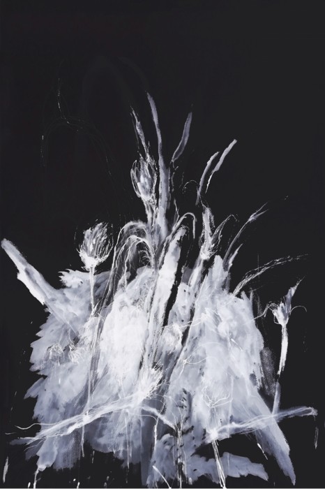 האור שבצמיחה