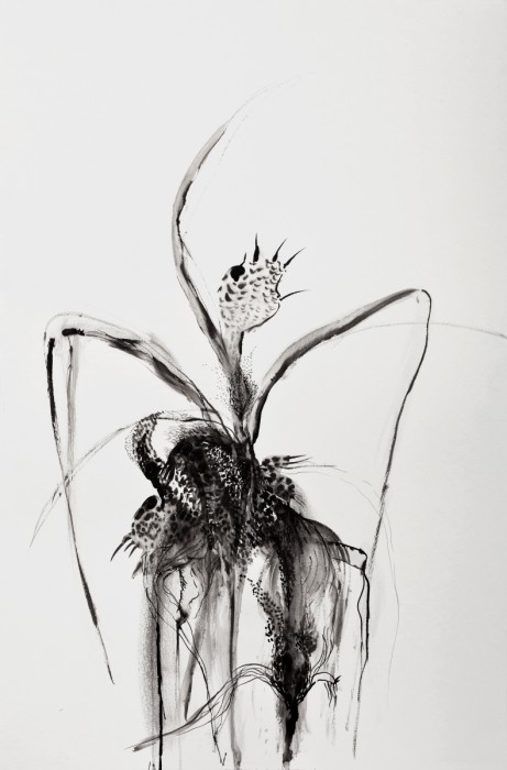 צמח היברידי