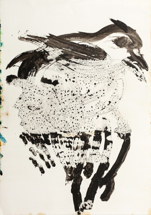 ריקוד הציפור