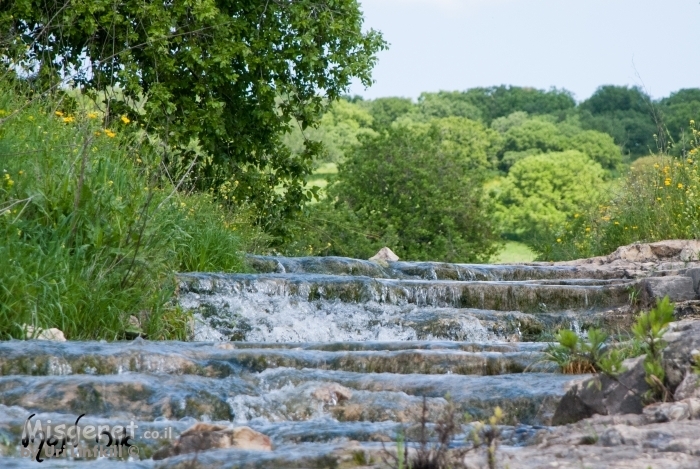 מפלונים אחרי הגשם