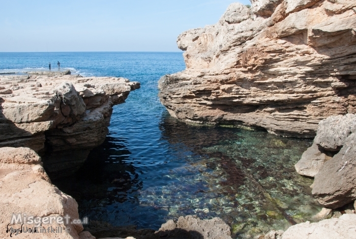 בריכה טבעית