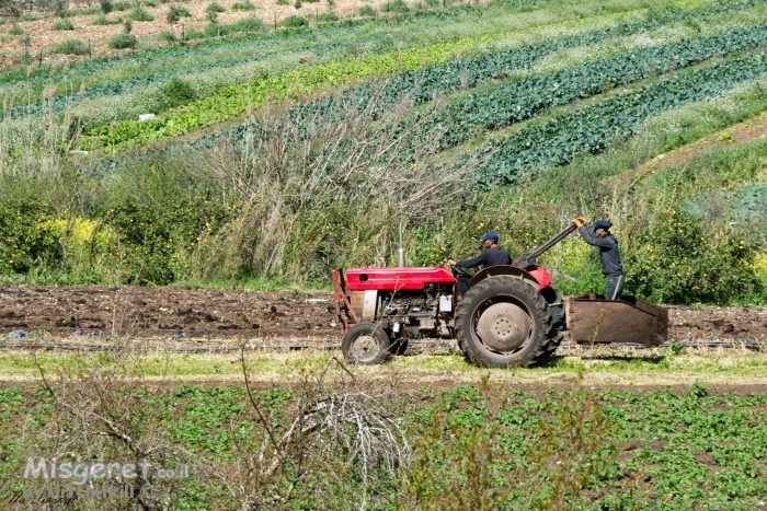 אדום וירוק