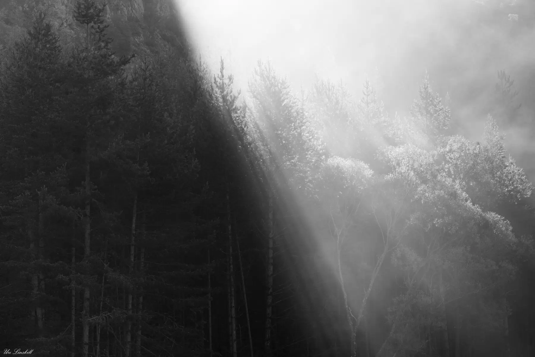 קרני שמש בערפל בוקר - אורי לינסקיל - נופים יפים  - מק''ט: 318235
