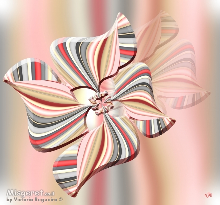 פרח בשיאו הורוד