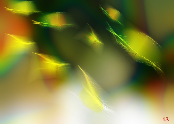 מהשבי על האור