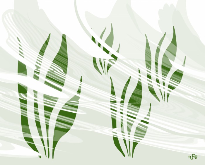 רוחות האושר