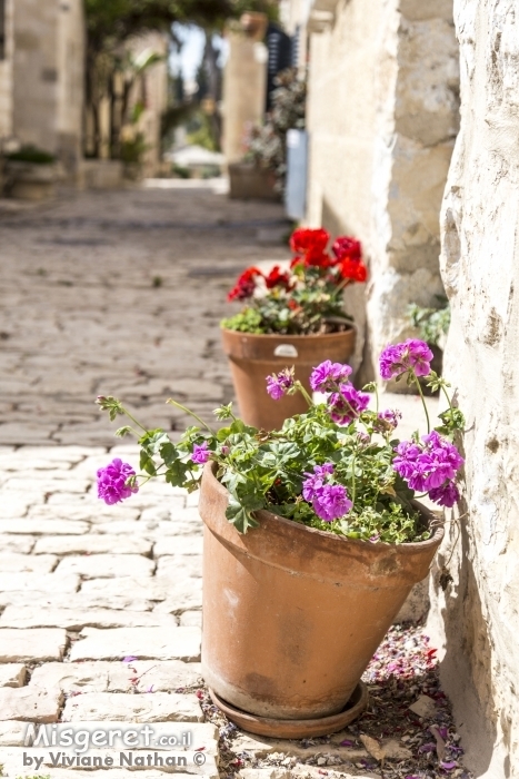 סמטה בימין משה