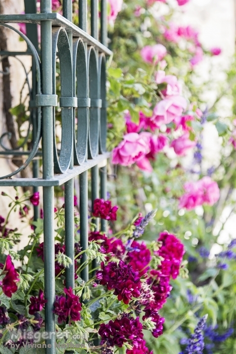  חלון עם פרחים