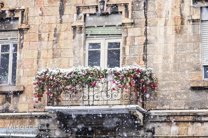 שלג בירושלים