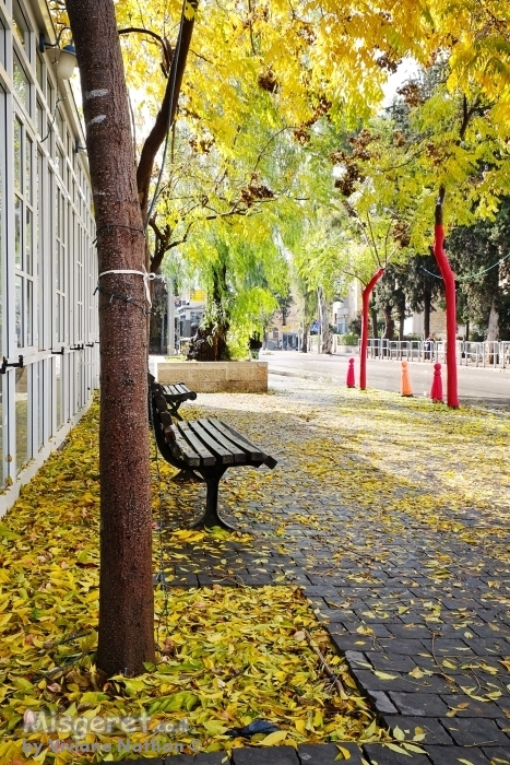 המושבה הגרמנית ירושלים