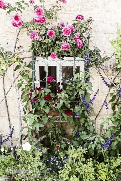 חלון עם פרחים #2