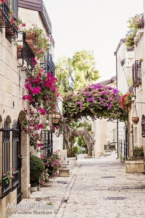 סמטה במשכנות שאננים