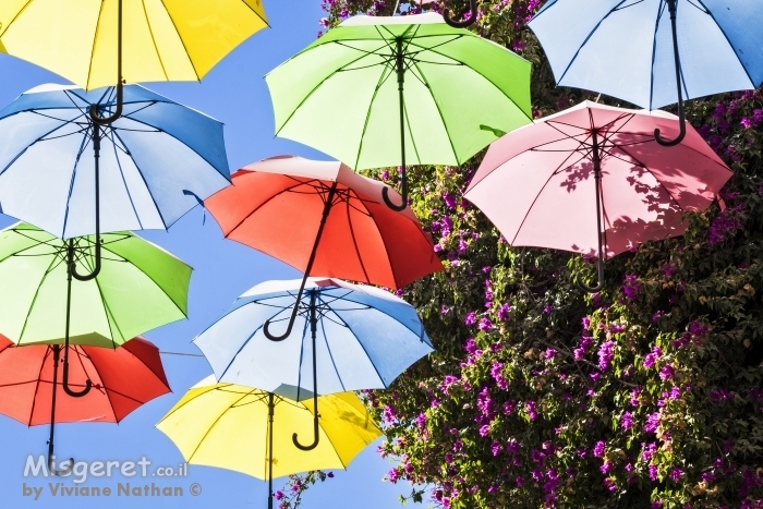 מטריות צבעוניות