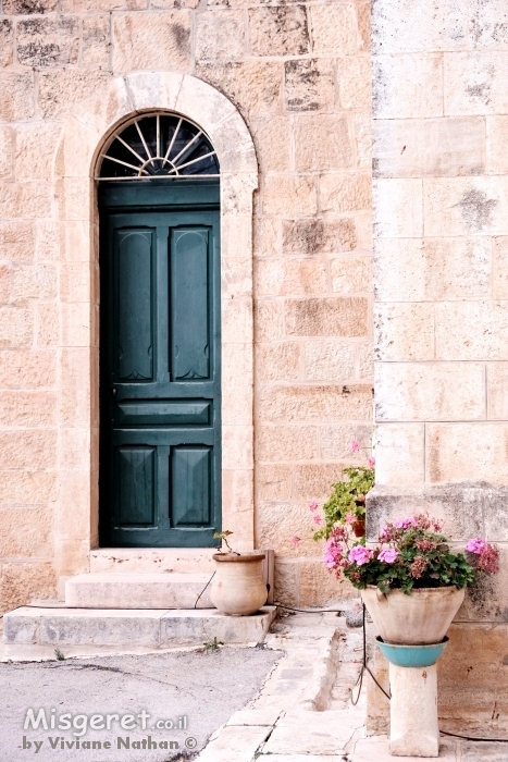 דלת עם עציץ