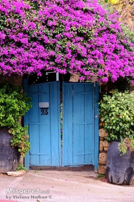 שער טורקיז עם פרחים