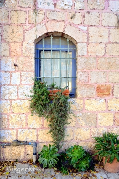 חלון עם צמחים