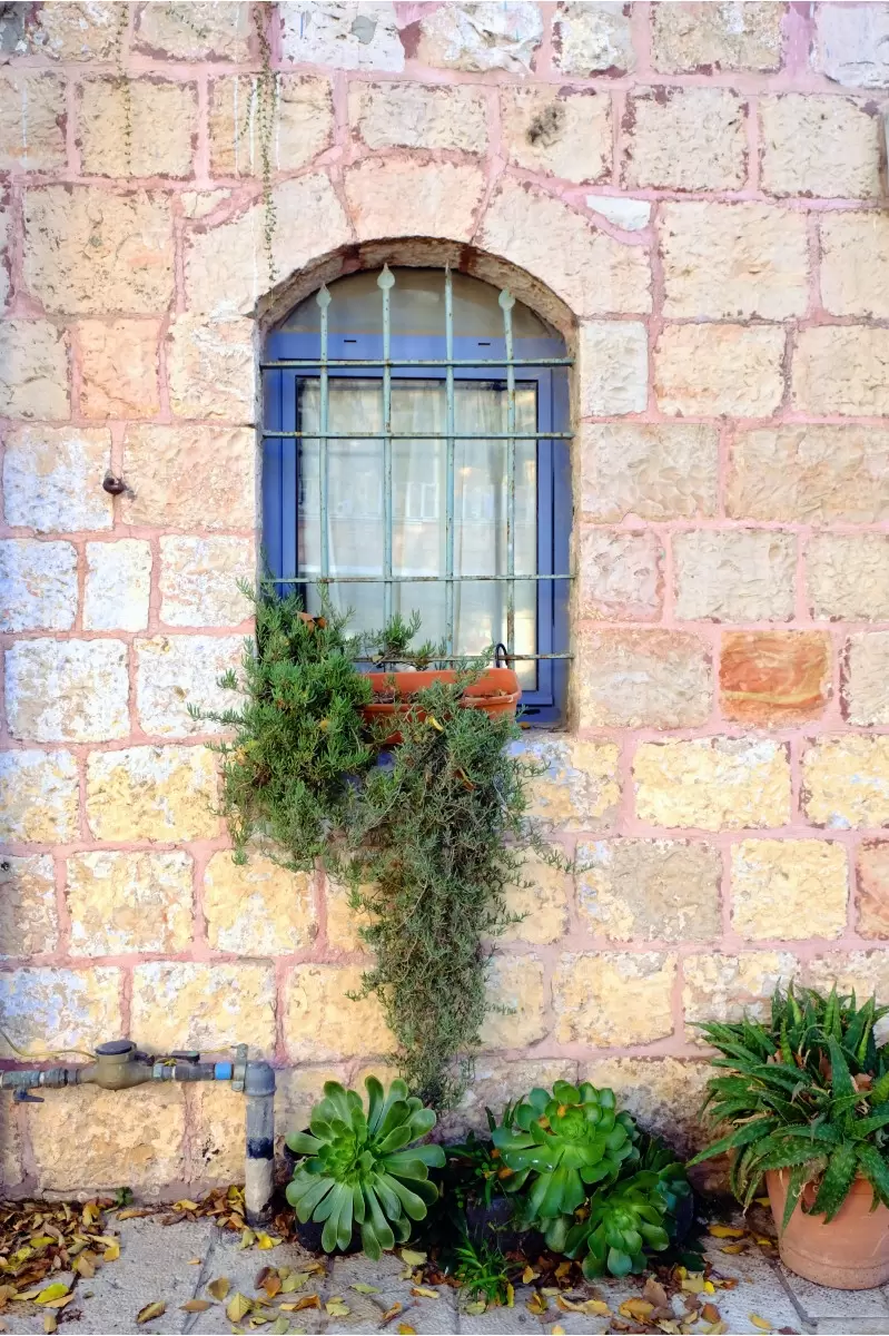 חלון עם צמחים - ויויאן נתן - תמונות לסלון כפרי  - מק''ט: 309894