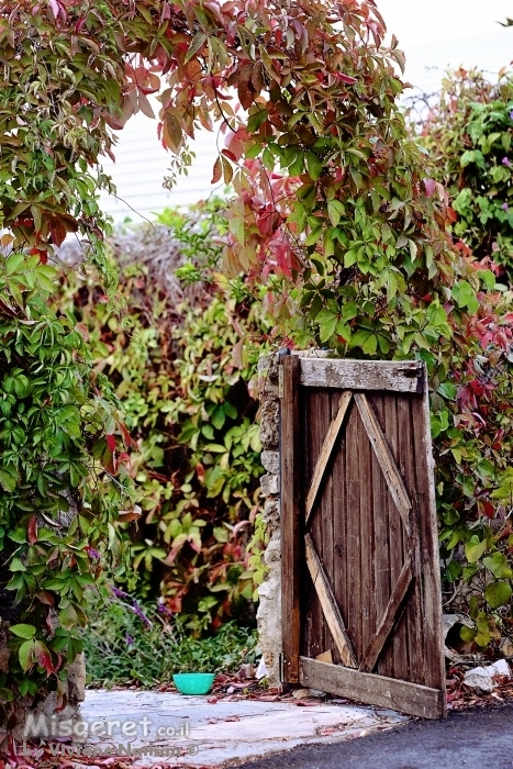 כניסה כפרית