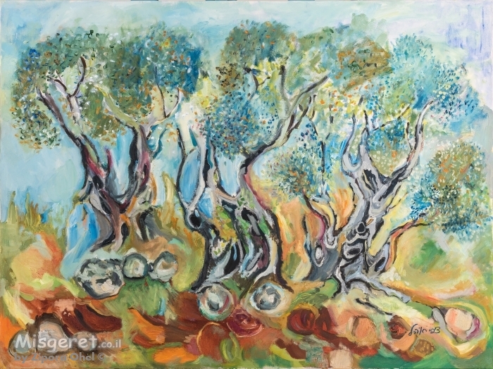 עצי זית באדמה סלעית