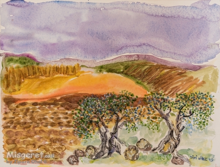 עצי זית בצבעי מים