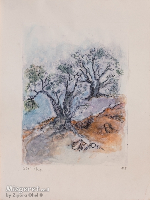 רישום עץ זית