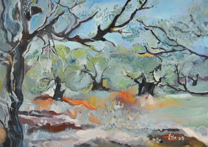 עצי זית בשחר