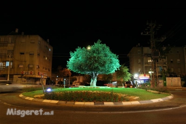 כיכר בנתניה