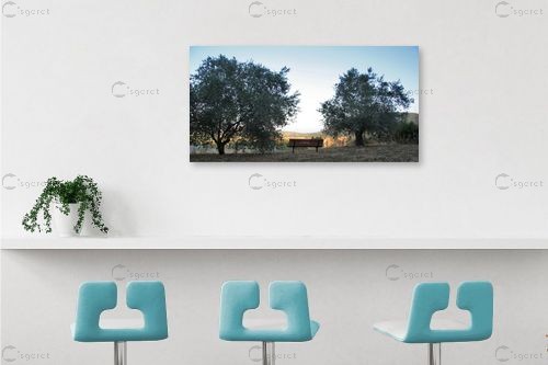 ספסל לנוף – מיכל פרטיג | תמונה לקיר בסגנון כפרי