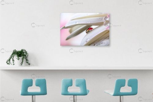 פרחים – ניקולאי טטרצ'וק | תמונה לקיר בסגנון מודרני