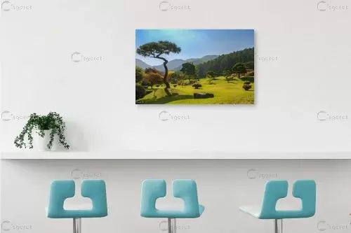 עצים - דורית ברקוביץ - תמונות לסלון כפרי נופים יפים  - מק''ט: 275480