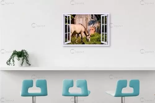סוס באחו - Artpicked Windows - תמונות לסלון כפרי  - מק''ט: 337087