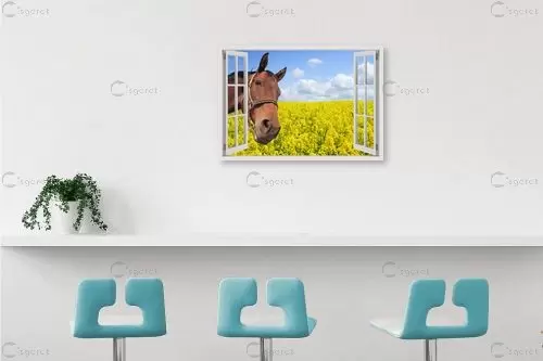 סוס מציץ - Artpicked Windows - תמונות לחדרי ילדים  - מק''ט: 337089