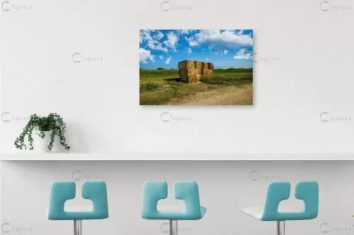 נוף - יבגני זלבקוב - תמונות לסלון כפרי צילומים  - מק''ט: 456351