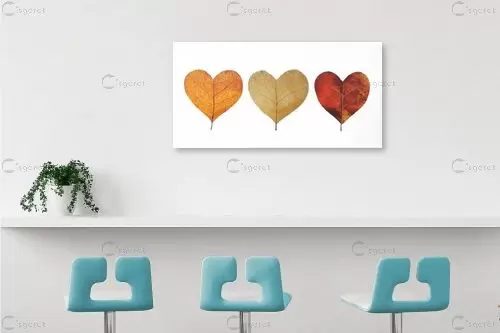 לבבות בשלכת – יניב גרינברג | תמונה לקיר בסגנון מודרני