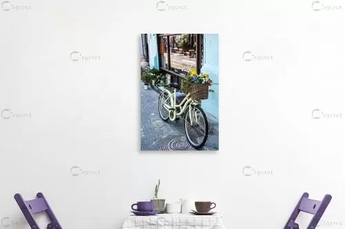 אופניים פרחוניות - רן זיסוביץ - תמונות אורבניות לסלון טבע דומם בצילום  - מק''ט: 201113
