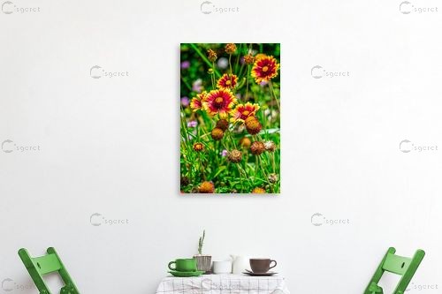 פרחי אביב - ולריה ליאו - צילומים  - מק''ט: 458119