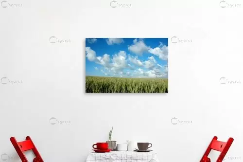 שדה – עידן גיל | תמונה לקיר בסגנון מודרני