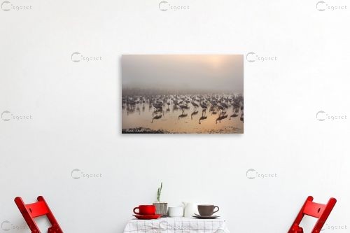 עגורים בערפל – איזבלה אלקבץ | תמונה לקיר בסגנון מודרני