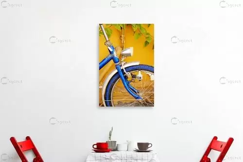 צבעוני - שרית סלימן - תמונות אורבניות לסלון טבע דומם בצילום  - מק''ט: 37144