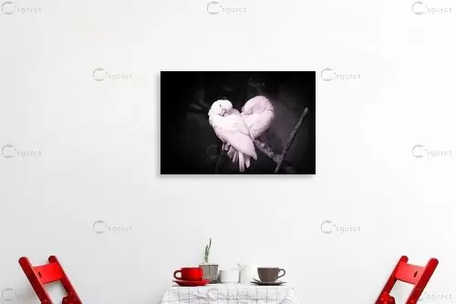 love birds – רן גולן | תמונה לקיר בסגנון מודרני