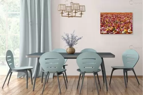 שלל נוריות – שרית סלימן | תמונה לקיר בסגנון מודרני