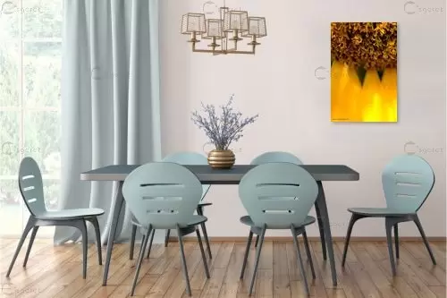 שמש צהובה - שרית סלימן - תמונות לסלון מודרני  - מק''ט: 197772