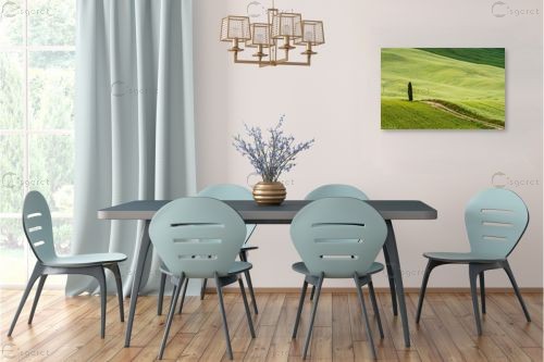 הברוש הבודד – דורית ברקוביץ | תמונה לקיר בסגנון כפרי