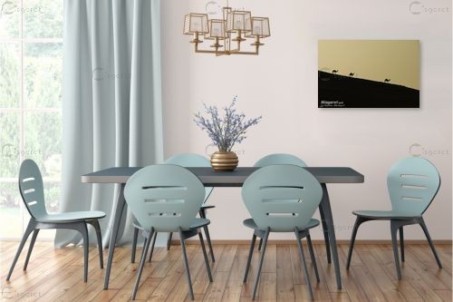 אורחה – שחר אלקלעי | תמונה לקיר בסגנון מודרני