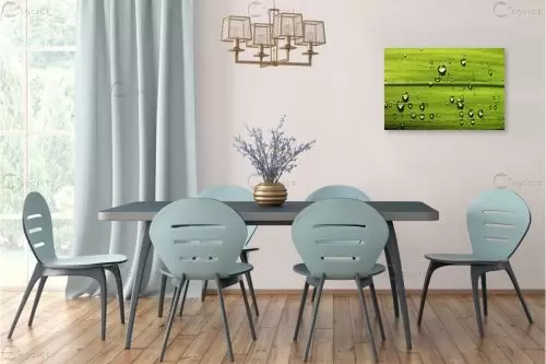 טיפות מגדלת – משה יפה | תמונה לקיר בסגנון מודרני